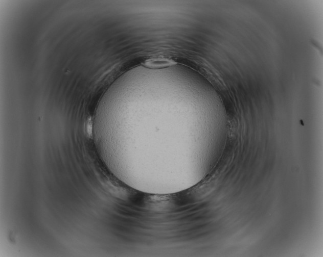 X0000090960095200708301213