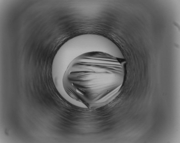 X0000090960096200708301213