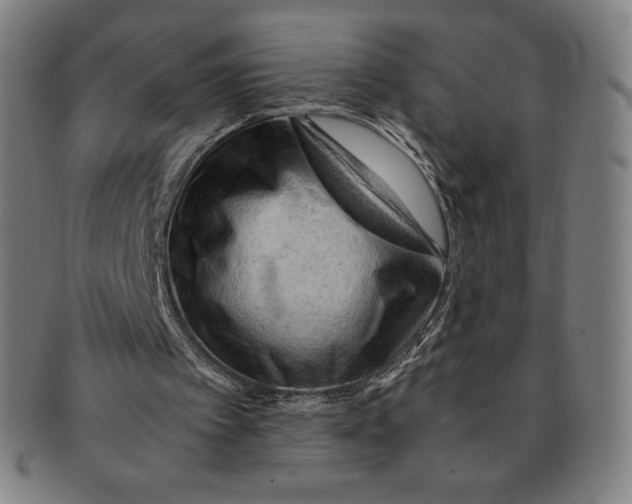 X0000090960097200708301212