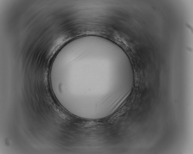 X0000090960098200708301212