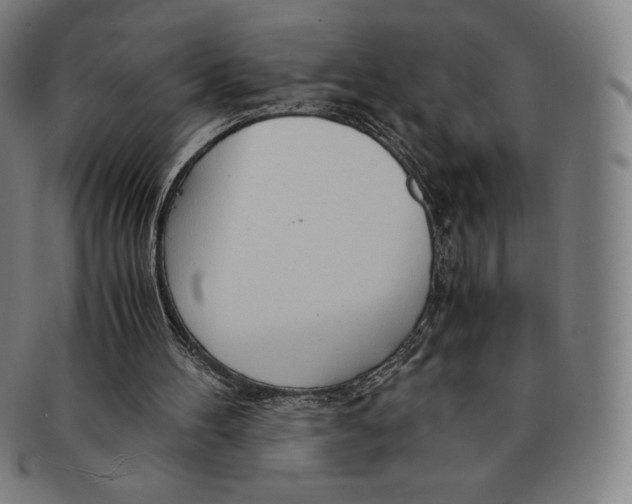 X0000090960100200708301212