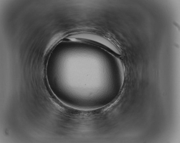 X0000090960101200708301212