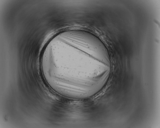 X0000090960102200708301212