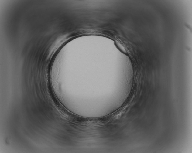 X0000090960103200708301212