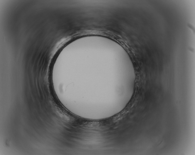 X0000090960104200708301212