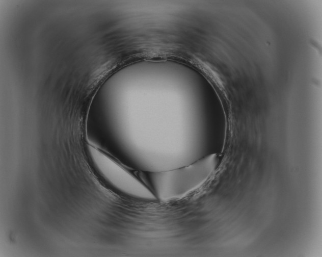 X0000090960105200708301212