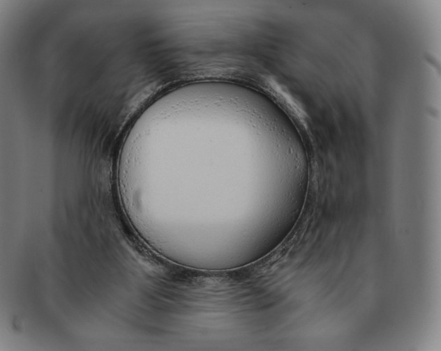 X0000090960107200708301212