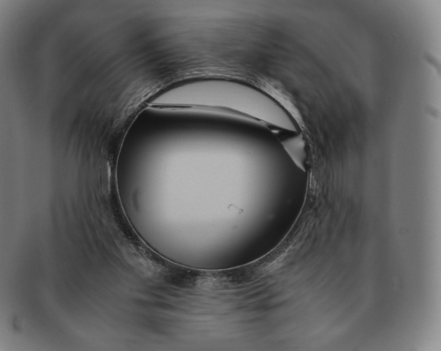 X0000090960109200708301212