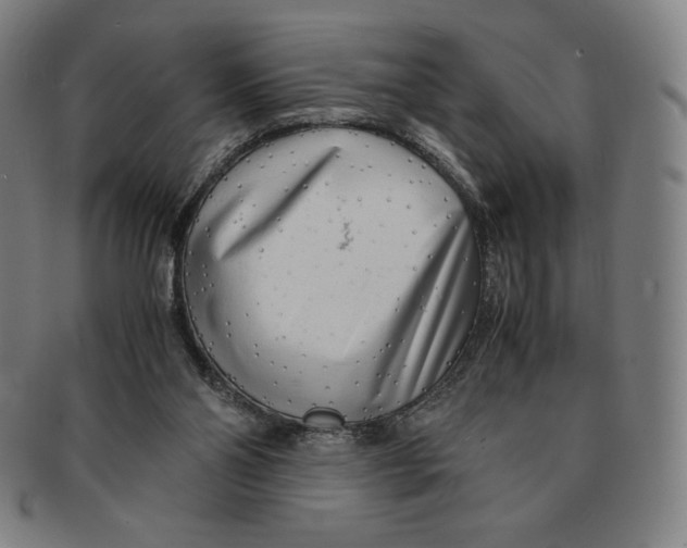 X0000090960110200708301212