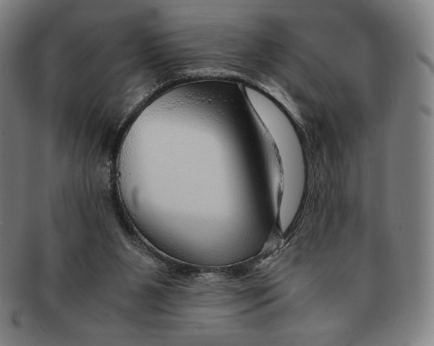 X0000090960111200708301212