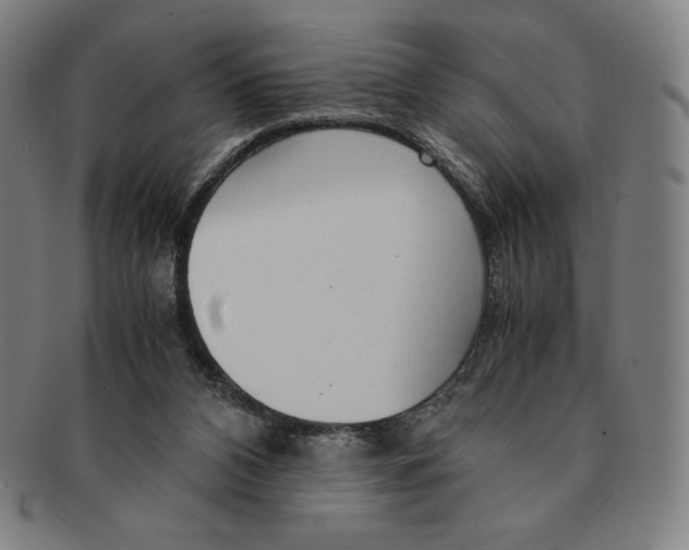 X0000090960112200708301212