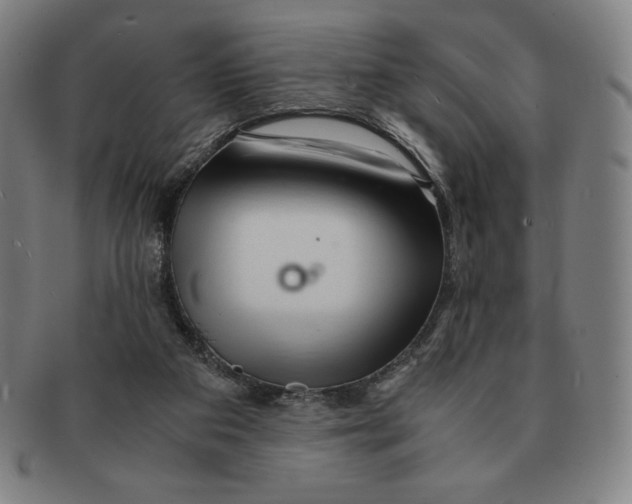 X0000090960113200708301212