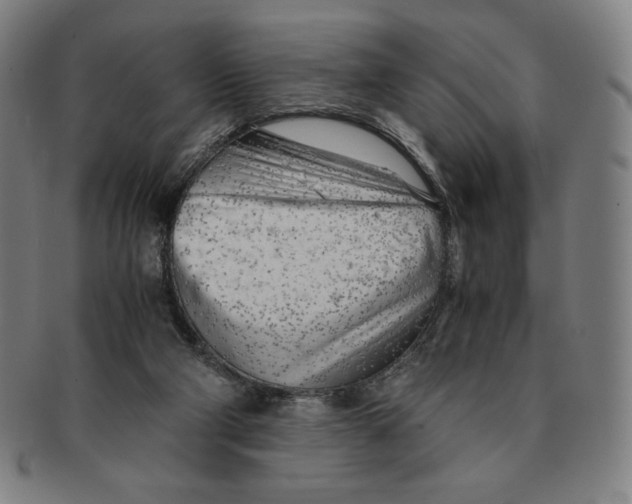 X0000090960114200708301212