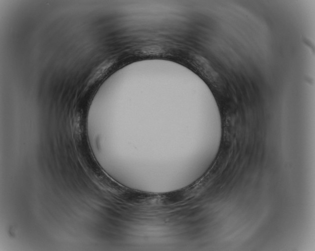 X0000090960116200708301212