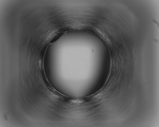 X0000090960117200708301212