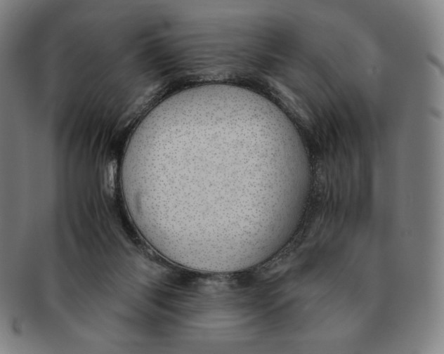 X0000090960118200708301212