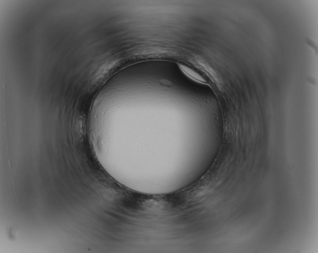 X0000090960119200708301212