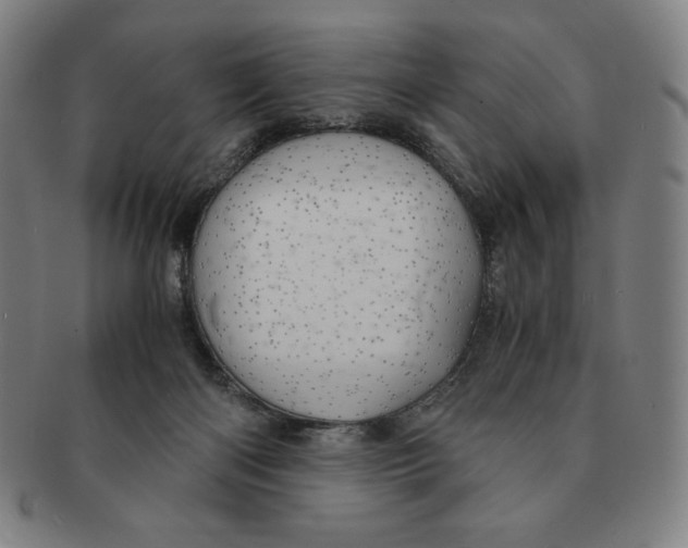 X0000090960122200708301212