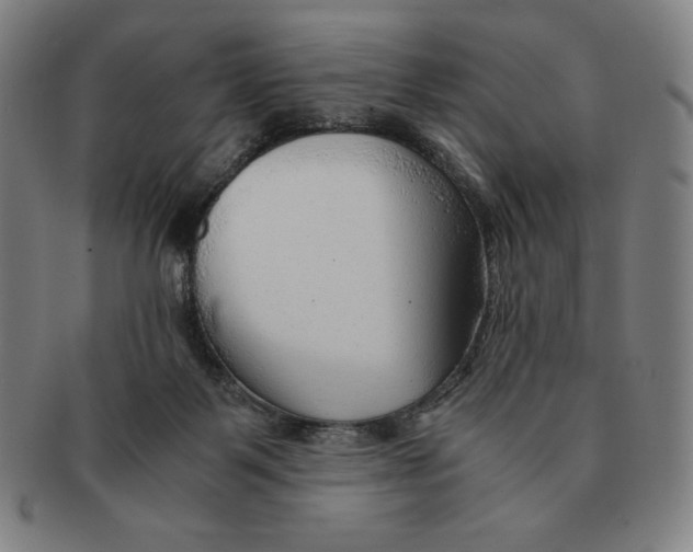 X0000090960123200708301212