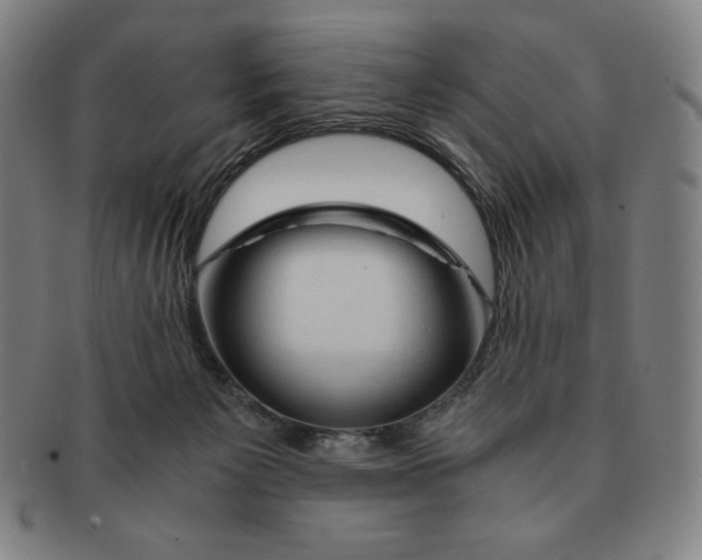 X0000090960125200708301212