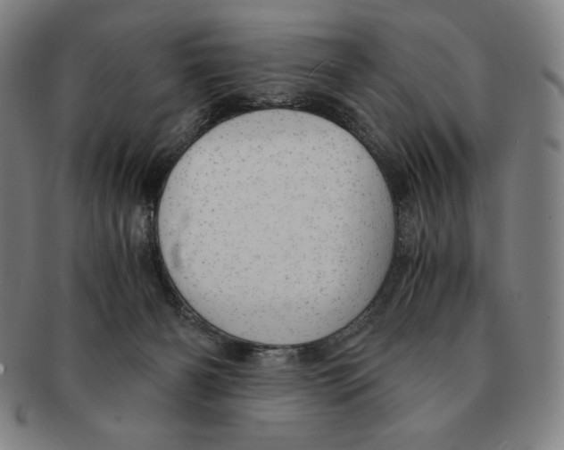 X0000090960126200708301212