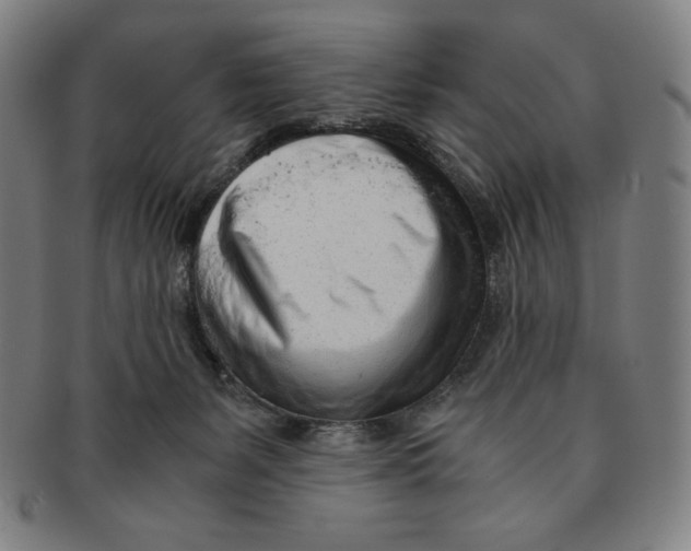 X0000090960127200708301212