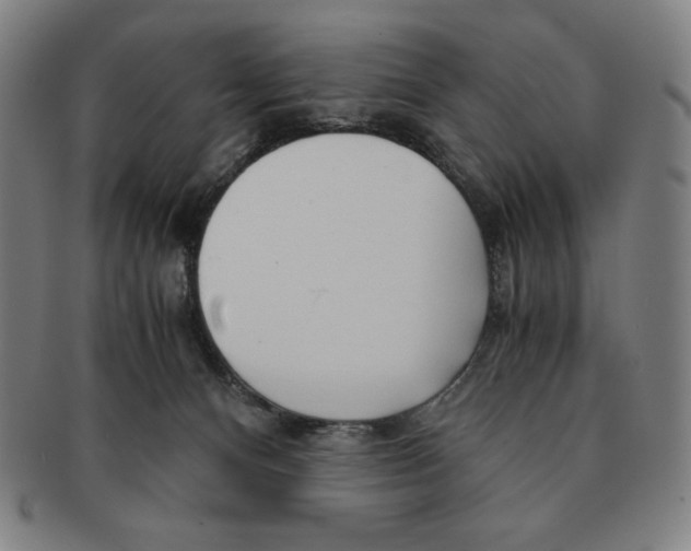 X0000090960128200708301212