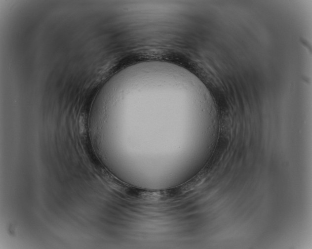 X0000090960131200708301212