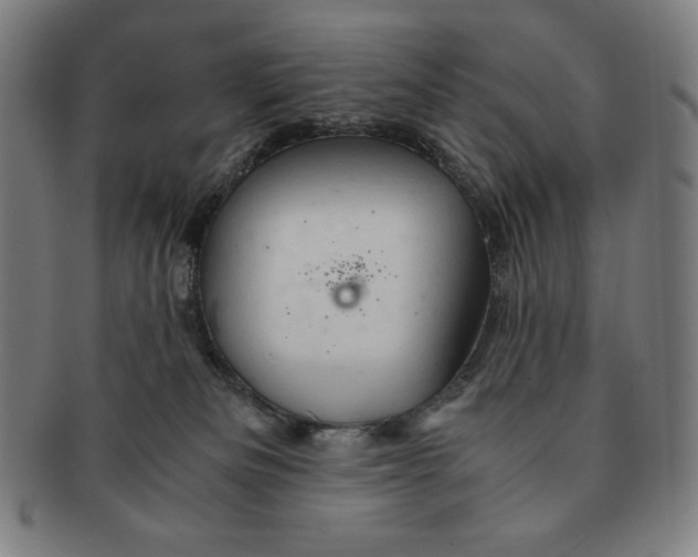 X0000090960133200708301212