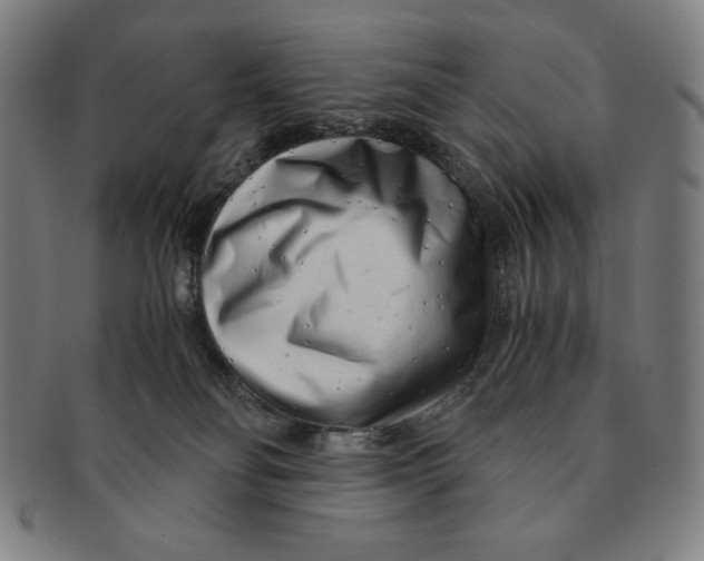 X0000090960134200708301212