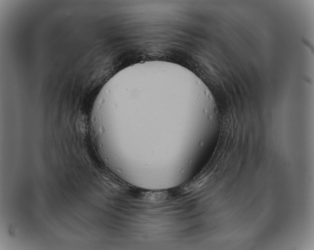 X0000090960135200708301212