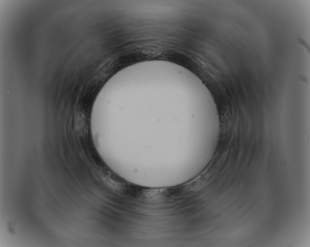 X0000090960136200708301212