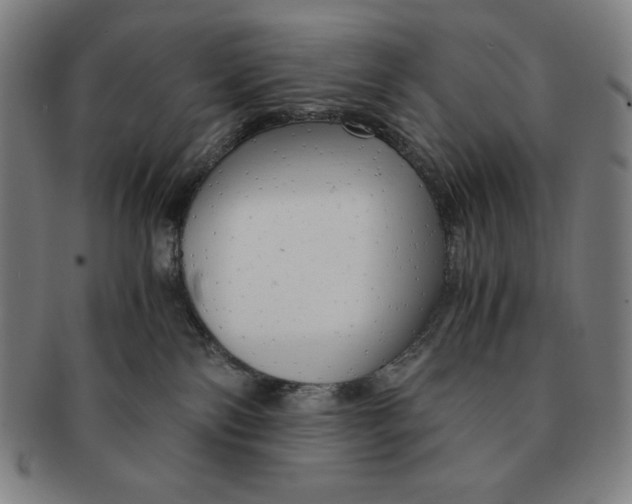 X0000090960138200708301212