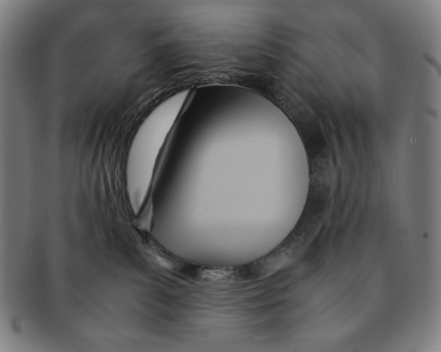 X0000090960139200708301212