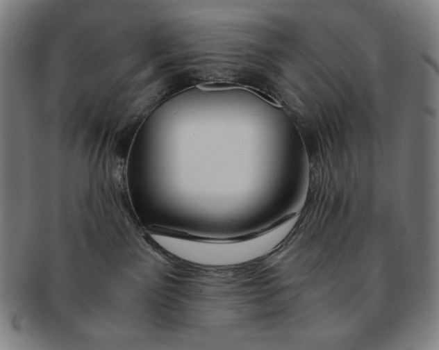 X0000090960141200708301212