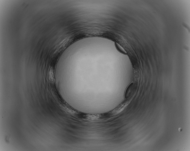 X0000090960143200708301212