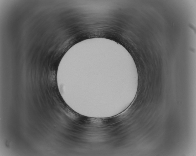 X0000090960144200708301212