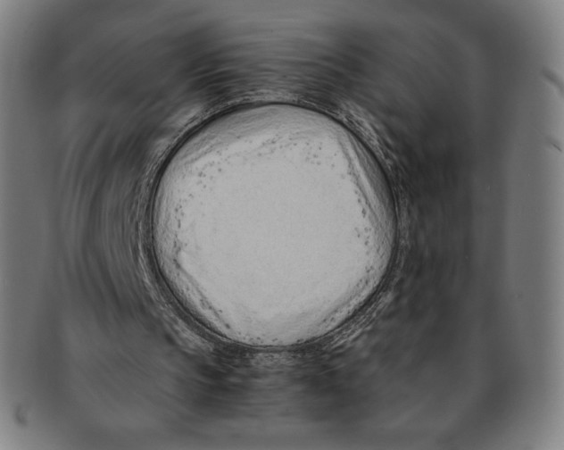 X0000090960145200708301211