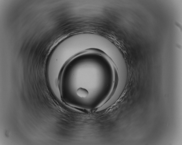 X0000090960146200708301211