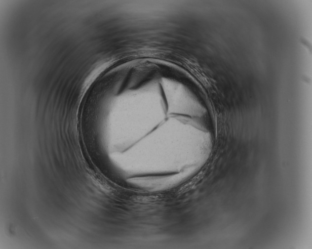 X0000090960147200708301211