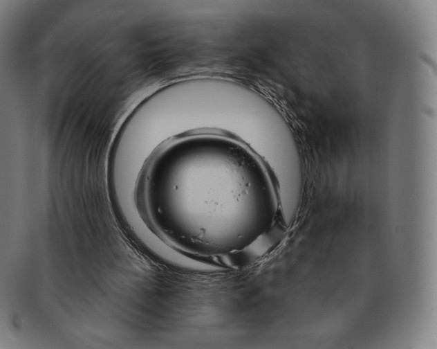 X0000090960148200708301211