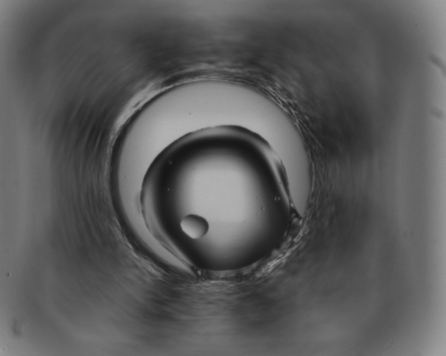 X0000090960150200708301211