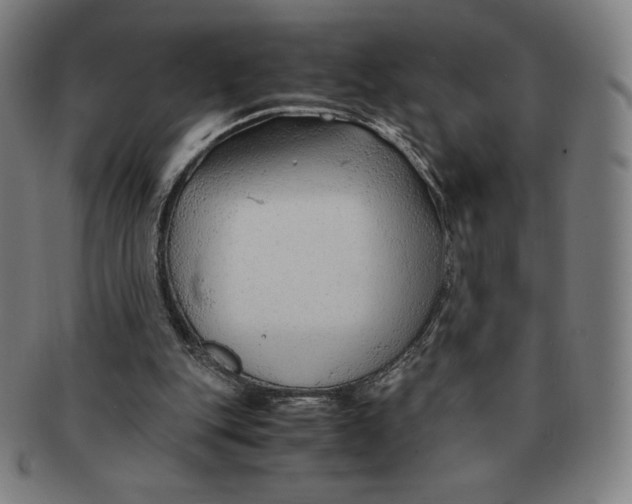 X0000090960151200708301211