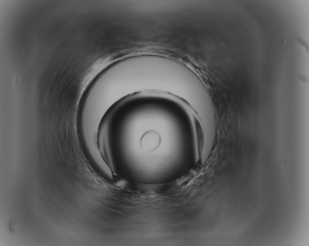 X0000090960152200708301211