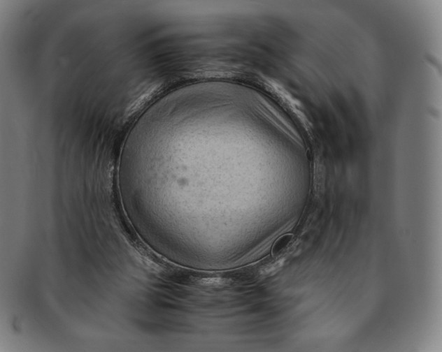 X0000090960153200708301211