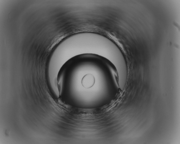 X0000090960154200708301211