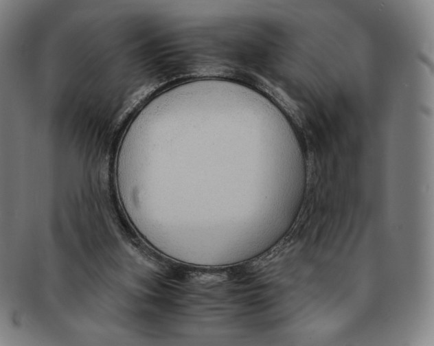 X0000090960155200708301211