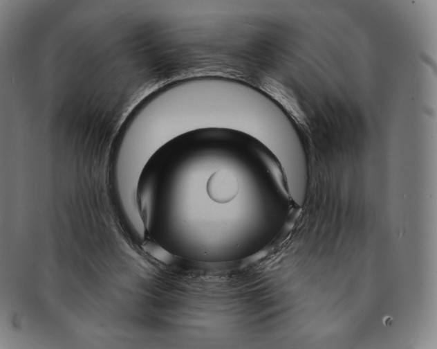 X0000090960156200708301211