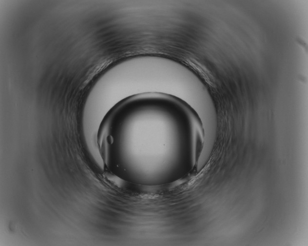 X0000090960158200708301211