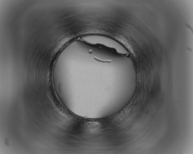 X0000090960159200708301211